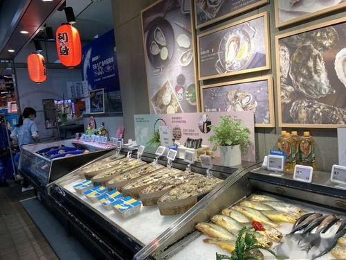 盒马鲜生日用品区最新陈列赏析 创新布局与精致视觉的完美融合